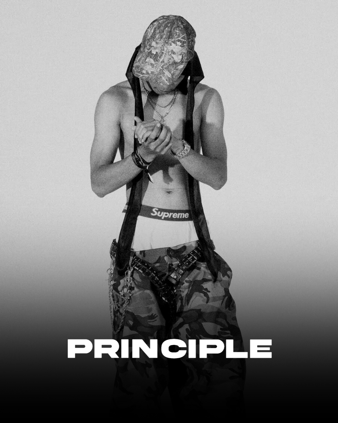 Principle